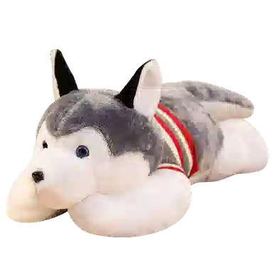 YOUMAI 50cm-200cm