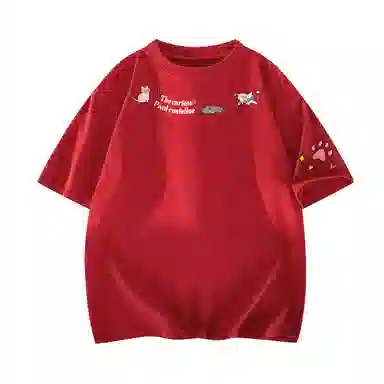 PAUL COSTELLOE logoT