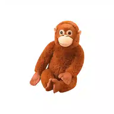 66cm