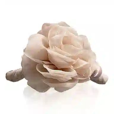 蒙妮 温柔山茶花朵珍珠抓夹 亚克力 发夹 女款