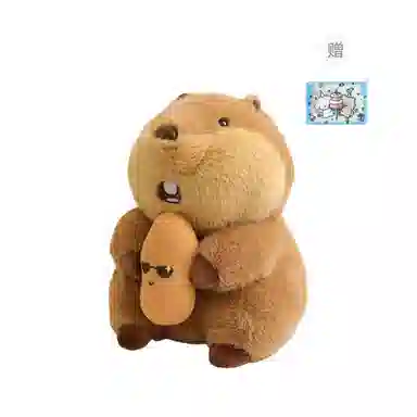 22cm30cm