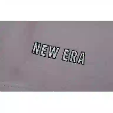 New Era SS24 Skateboard Shorts Gray