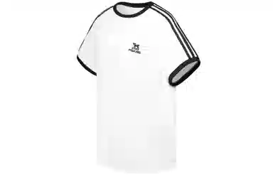 FOASIS T