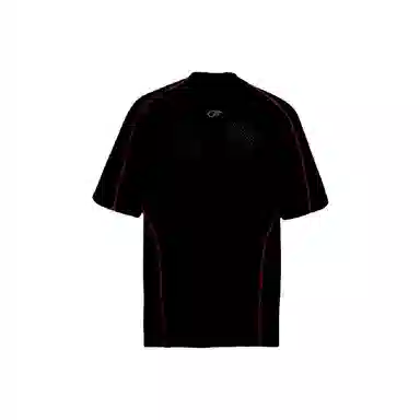 PVPVPV T