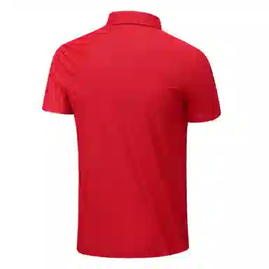 PIERRE CARDIN TPolo
