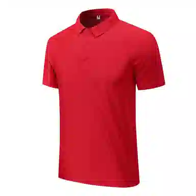 PIERRE CARDIN TPolo