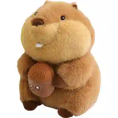 22cm32cm