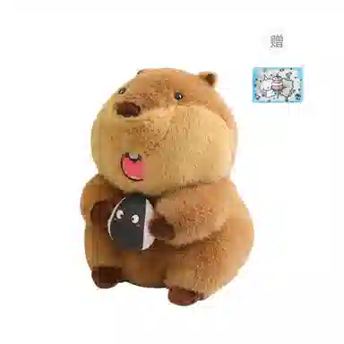 22cm30cm
