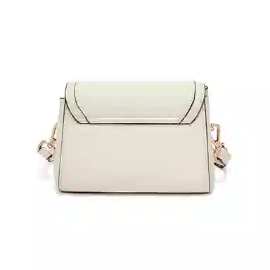 红蜻蜓 高级感经典复古时尚百搭 牛皮 单肩斜挎包 女款 咖啡色/米白色