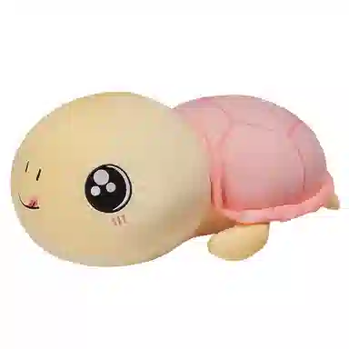 30cm50cm