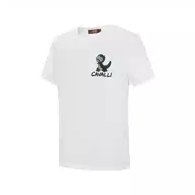 Cavalli Class T