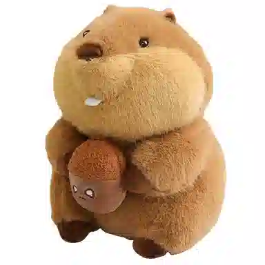22cm30cm