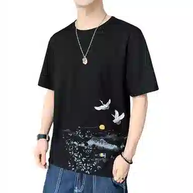 fdragon T