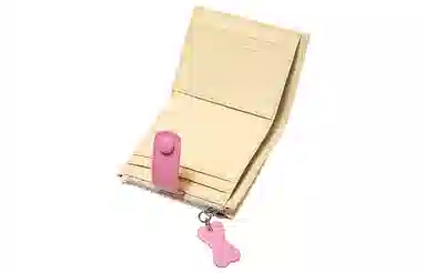 TOUTOU