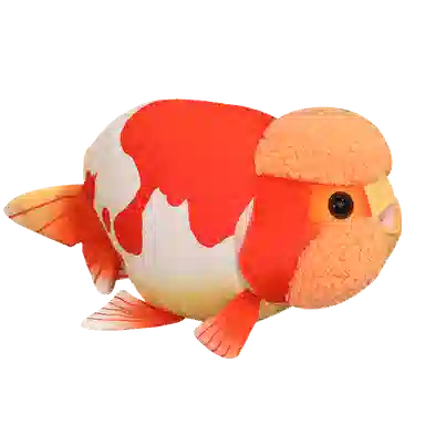 50cm