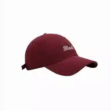 北极绒 夏季潮流刺绣字母大头围加深显脸小韩版百搭简约时尚 棉 鸭舌帽 男女同款情侣款