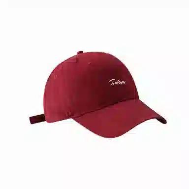 北极绒 大头围刺绣字母简约夏季加大加深宽帽檐显脸小遮阳 棉 鸭舌帽 男女同款情侣款