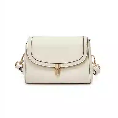 红蜻蜓 高级感经典复古时尚百搭 牛皮 单肩斜挎包 女款 咖啡色/米白色