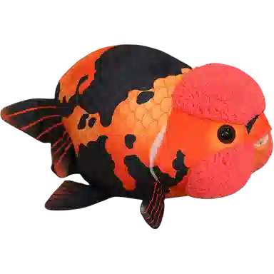 50cm