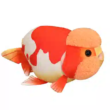 50cm