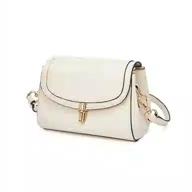 红蜻蜓 高级感经典复古时尚百搭 牛皮 单肩斜挎包 女款 咖啡色/米白色