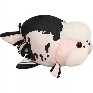 50cm