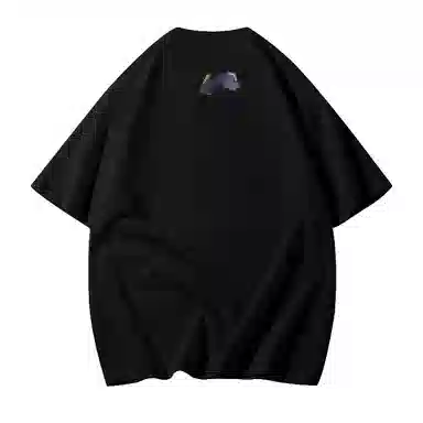 HATCHESSEL T