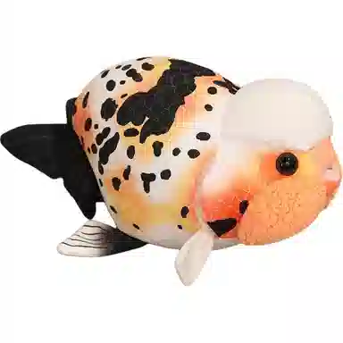 50cm