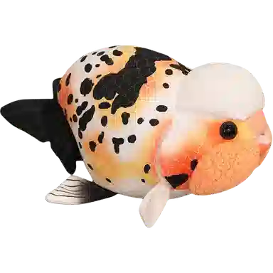 50cm