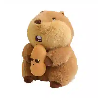 22cm30cm