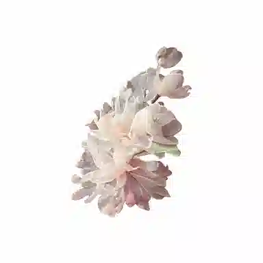 JOINT CANDY