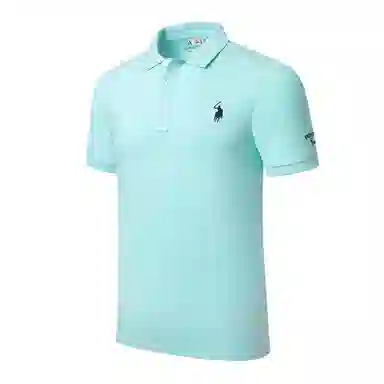 PIERRE CARDIN Polo