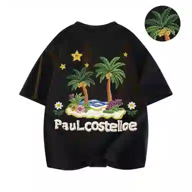 PAUL COSTELLOE T