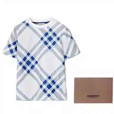 Burberry T