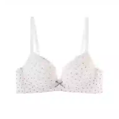 内在密码 法式小清新碎花蕾丝小胸不空杯无钢圈上托收副乳文胸 女款