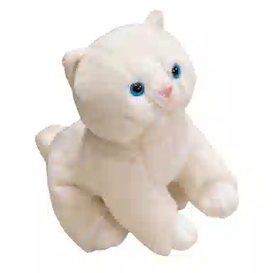 20cm25cm