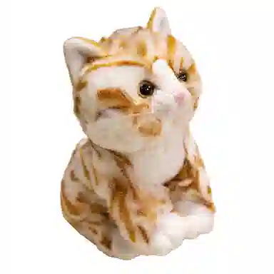 20cm25cm