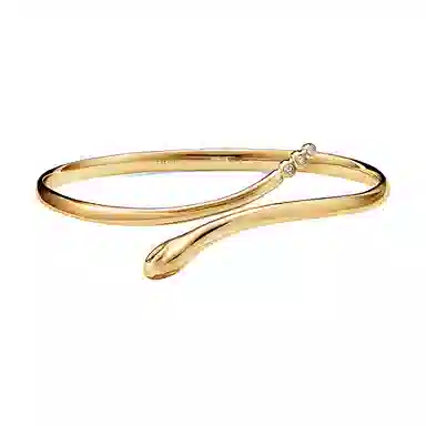 TIFFANY CO. Elsa Peretti 18K