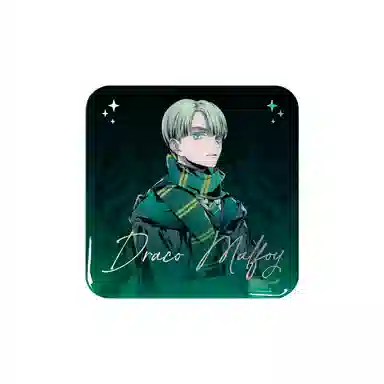 Harry Potter House Robe Series Badge