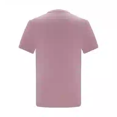 EMZ T