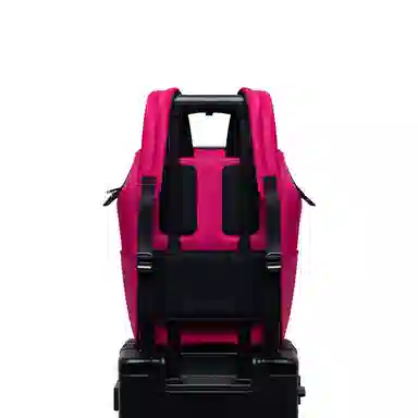 Cuneiform Hao Yun Series Backpack