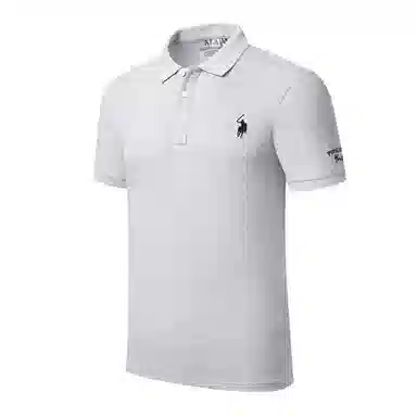 PIERRE CARDIN Polo