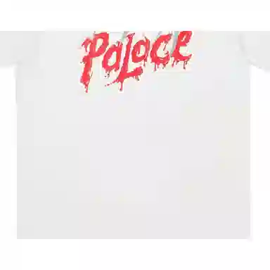 PALACE FW23 SCRATCHY T-SHIRT T