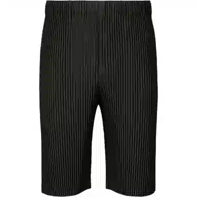 Homme Pliss Issey Miyake