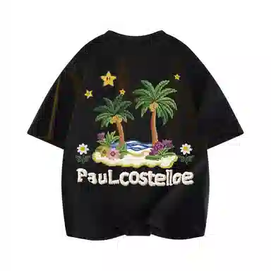 PAUL COSTELLOE T