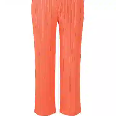 PLEATS PLEASE ISSEY MIYAKE