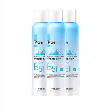 PWU B5 300ml