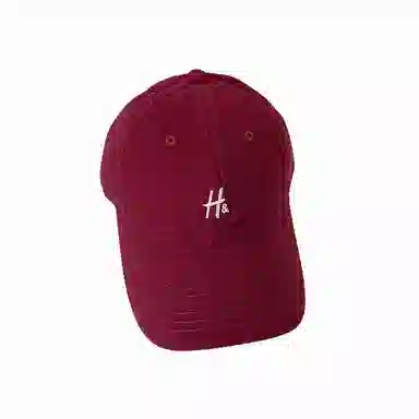 北极绒 韩版字母刺绣潮流百搭时尚大头围显脸小透气遮阳户外出游 棉 鸭舌帽 男女同款情侣款