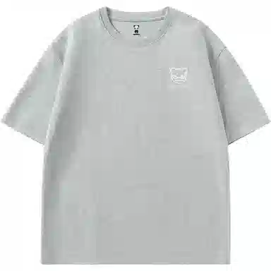HIPANDA T