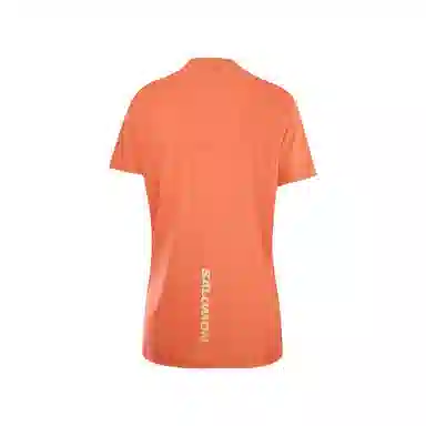 SALOMON T